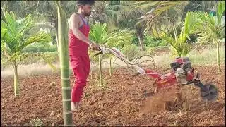 காலை முதல் மாலை வரை எனது வேலை முடியும் வரை 