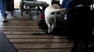MOV05488