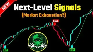 Best Indicator PREDICTS the EXACT Market Bottom! Insane Accuracy!