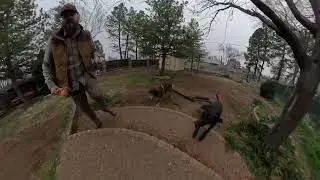 Doggin' Around With Cosmo and Kino