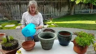 Fairy Gardens - selecting the right container.