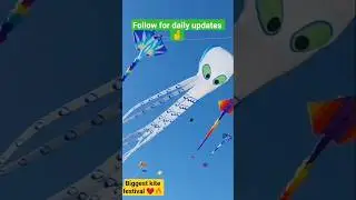 kota kite festival 2026... #shortsfeed #ssvlogs #kota #kitefestival #kite #2026  #vlogs