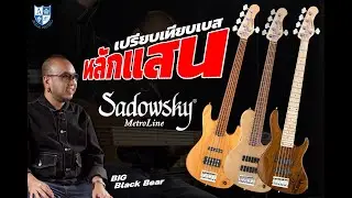 เปรียบเทียบชัดๆ 3 รุ่นหลักแสนจาก Sadowsky MetroLine Series