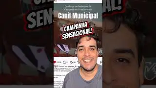 Canil faz campanha sensacional! Emocionante!