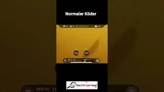 🥒 .. Diese Köderfarbe bringt NICHTS in trübem Wasser (wer hätte es gedacht?)😮