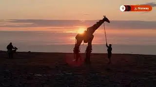 Puppet animals end 12,000-mile trek for climate awareness in Norway | REUTERS
