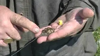 Improve Your Coarse Fishing with Des Taylor