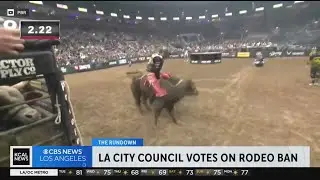 Hollywood Hills shooting, rodeo ban vote, Redondo Union HS lockdown; The Rundown
