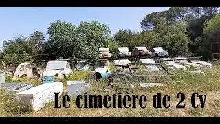 Une sacrée collection de 2 cv dans cette ancienne casse à l'abandon .