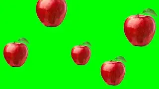 Falling Apple Fruits Green screen Copyright Free