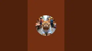 BEAUTY CATS  is live!