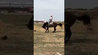 Taming a Wild Horse &mdash; Real Cowboy Spirit! #HorseTraining #WildHorse #YoungCowboy #Kazakhstan