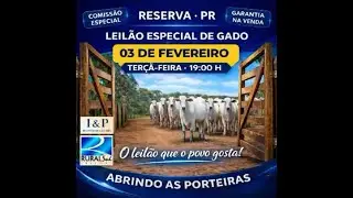 LEILÃO GADO DE CORTE | ABRINDO A PORTEIRA 03/02/2026 - RESERVA/PR | RURAL SUL LEILÕES