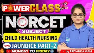 NORCET-11 Power Class | Neonatal Jaundice (Part-2) & High Bilirubin | Child Health Nursing #norcet