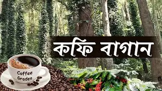 Araku Coffee Garden || What is special about Araku Coffee || কফি গার্ডেন