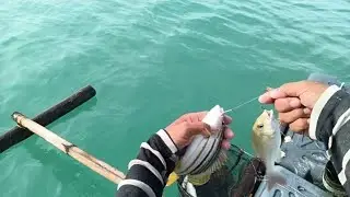 Traditional Handline Fishing in the Philippines 