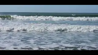 La plage des conches en Vendée
