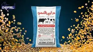 Maximize Milk & Meat Production with Karachi Pala Mix | Animal Feed Secrets