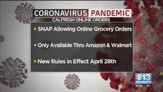 Food Stamp Users Can Order Online