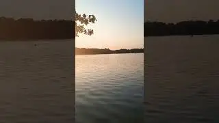 Успокоение души с природой.... #music #arabic #love #топ