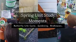 🌸 Spring Unit Study Highlights | Butterfly Life Cycle 🐛🦋, Garden Growing & Bird Watching!