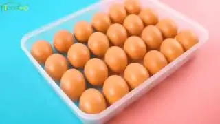 24 Grid Clear Egg Box