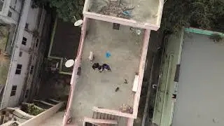 My First Drone Short #dji #bengaluru #karnataka #dji #djimini4k 