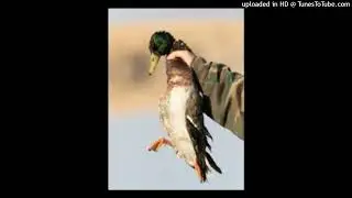 Luh Duke - Duck Instrumental