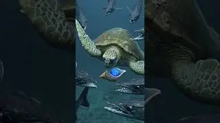 The Turtle&rsquo;s Final Promise 🐢✨ | A Heartbreaking Story of Sacrifice