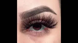 Eleven Lashes #Lash Try On in Style Spicy XL