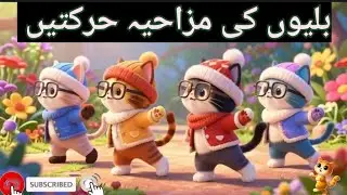 Cat Dance | Funny Cat Videos 🤣 | @CatFunCircle 