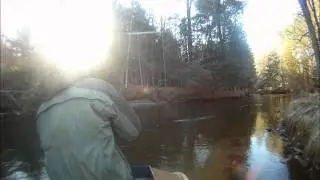 Michigan steelhead 12/26/11