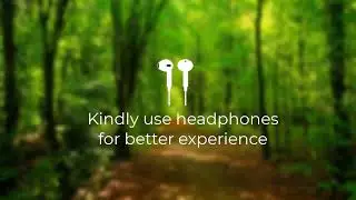 ASMR | Crunchy Twig Hike | Walking on Twigs Branches | Crunching | Study & Sleep