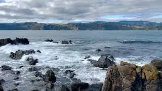 Breaker Bay | Seatoun | Wellington | New Zealand 🇳🇿 | 4K