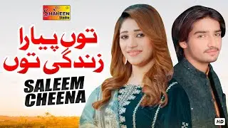 Tu Pyara Zindagi Tu | Saleem Cheena | Official Video Song | Shaheen Studio 2025