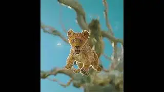 Part 5 | Mufasa The Lion King (2024) - Mufasa has a new brother.
