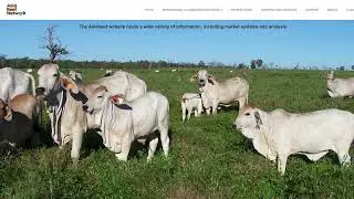 AVEG - Reimagining Collaboration in the Australian and Vietnam Beef Cattle Sectors