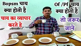 How to start Tea business , Loose Tea Grade BOP(SM), Of  चाय पत्ती के BOP(SM) of  ग्रेड के बारे में