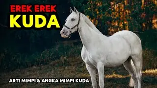 EREK EREK KUDA 2D 3D 4D & ARTI MIMPI TENTANG KUDA