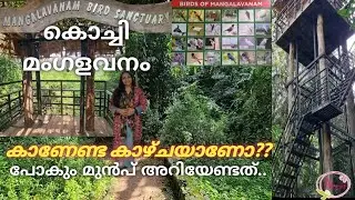 Kochi Mangalavanam BIRD SANCTUARY | Ernakulam Forest Area | @NOOPSWORLD