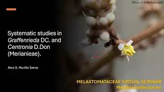 Estudios sistematicos en Graffenrieda (Merianieae) con enfazis en las especies Colombianas