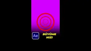 After Effects'te Sabit Hızda Büyütme Nasıl Yapılır? After Effects Dersleri