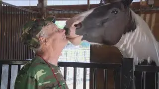 Suburban ranch hosts monthly oasis for military veterans, families