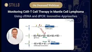 Monitoring CAR T Cell Therapy in Mantle Cell Lymphoma Using cfDNA and dPCR  Innovative Approaches