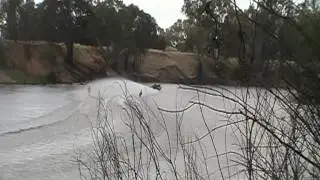Big race..Southern80 2012.MOD