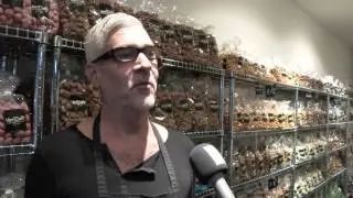 Pepernotenwalhalla op de Denneweg