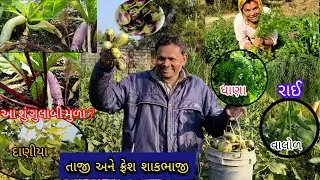 તાજી અને ફ્રેશ શાકભાજી 🫛🤗🥬🍆