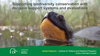 Supporting Biodiversity Conservation with Decision Support Systems and Evaluations