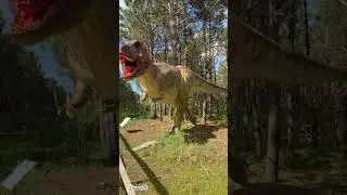Tyrannosaurus Rex @dinoparquelourinha9481 , #tyrannosaurusrex #tyranosaurus #dinosaur