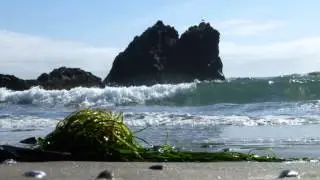 Seal Rock Oregon